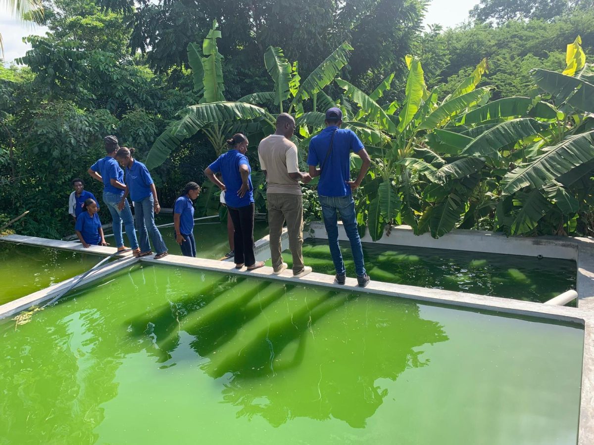 WhatsApp-Image-2025-07-20-at-16.00.29 3ef9e81d